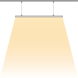 suspension