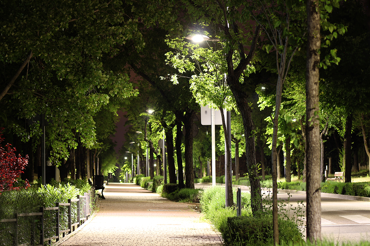 Alcobendas, lugar sostenible