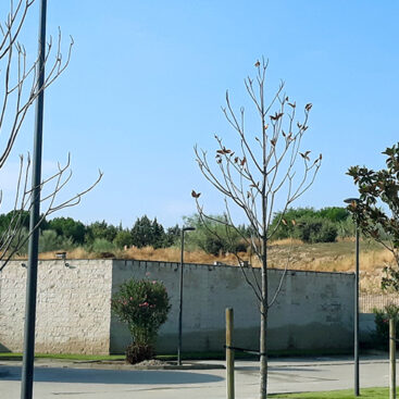 Boadilla del Monte