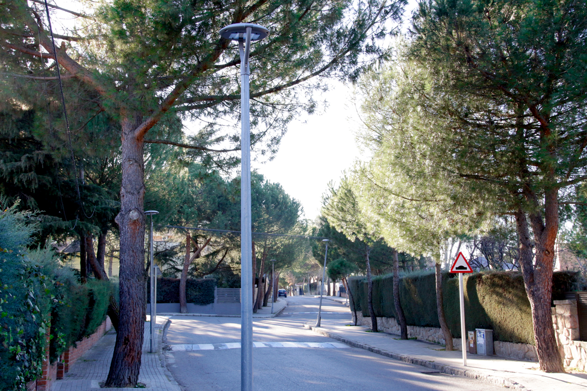 villaviciosa_de_odon