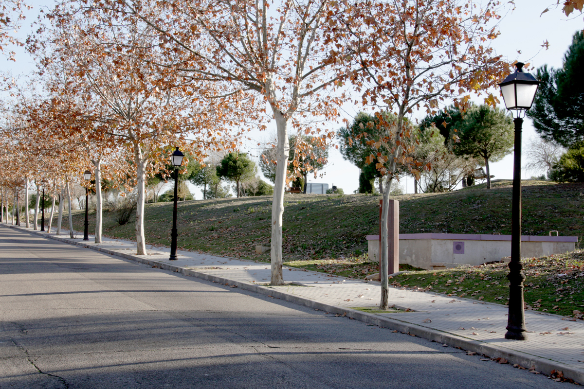 villaviciosa_de_odon
