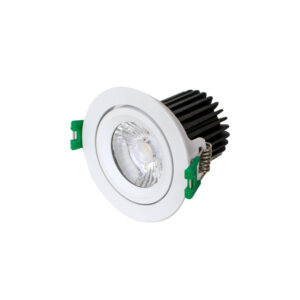 Downlight Focus R