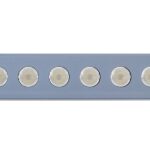 0000s_0002_41VIT_DETALLE_1