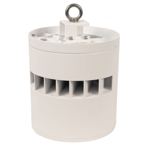 luminaria nut
